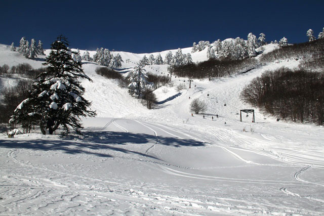snow pistes 2