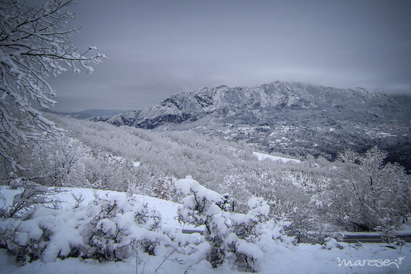 snowphotos 2