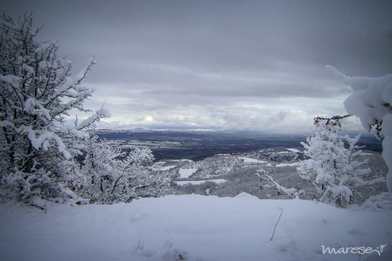 snowphotos 3