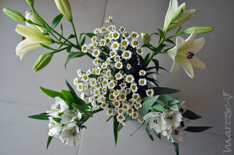 flowers2