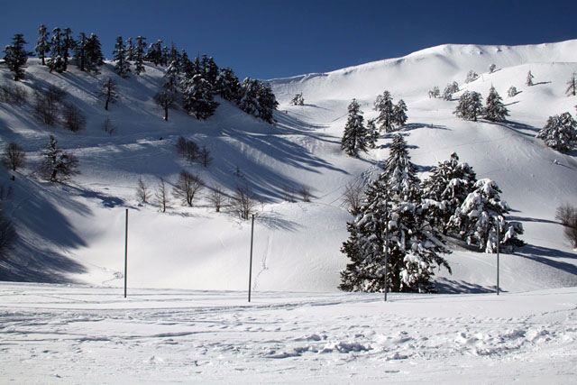 snow pistes