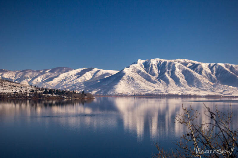kastoria-frozen-8