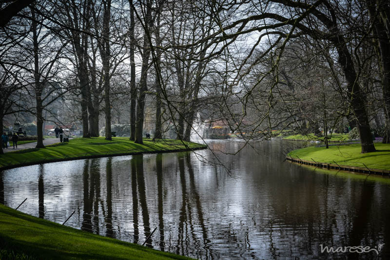 keukenhof 15