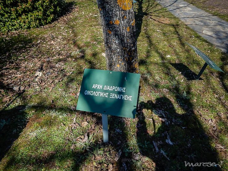 Παγκόσμια Ημέρα Δασοπονίας 2015: Στον Βοτανικό Κήπο του Νεοχωρίου Καρδίτσας